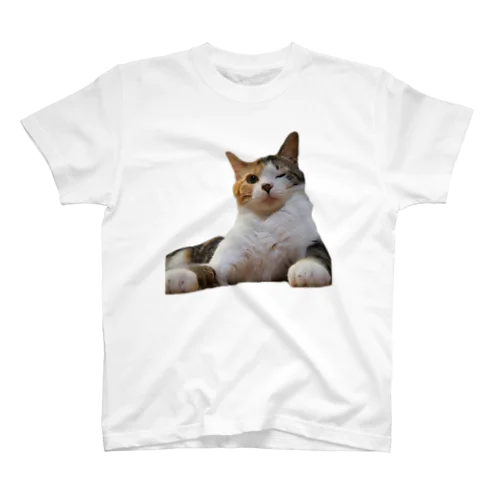 ねこのネネちゃん Regular Fit T-Shirt