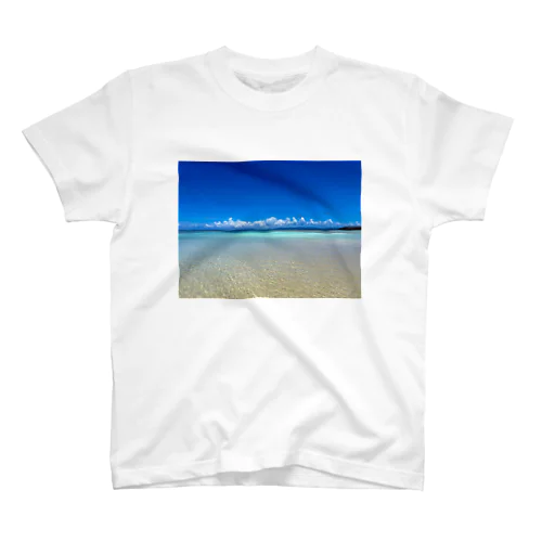 Breathing blue Regular Fit T-Shirt