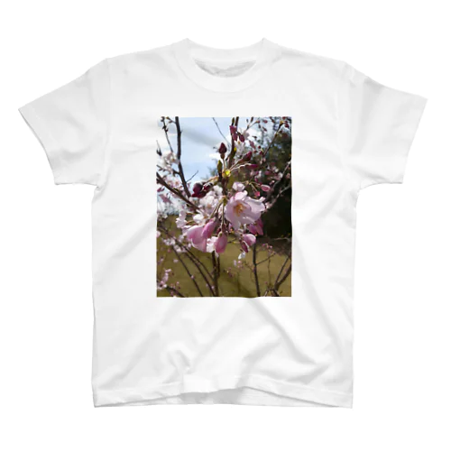 桜 スタンダードTシャツ