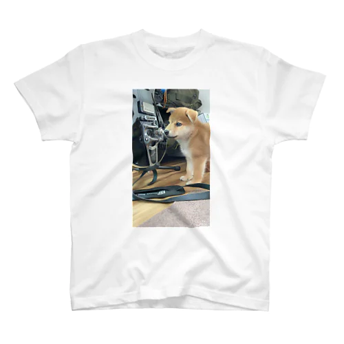 柴犬こてつ スタンダードTシャツ