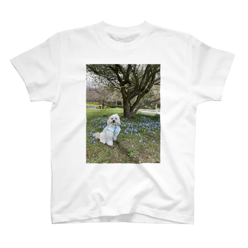 サニーと公園 スタンダードTシャツ