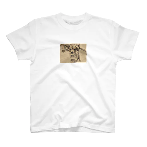 こうすけくんブランケット Regular Fit T-Shirt