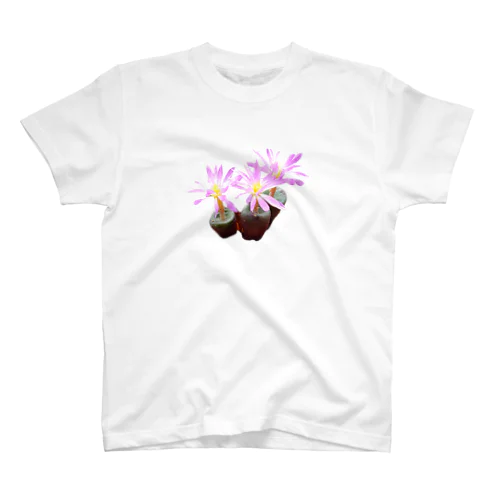 可憐な花 コノフィツム バリエンス 多肉植物 Regular Fit T-Shirt