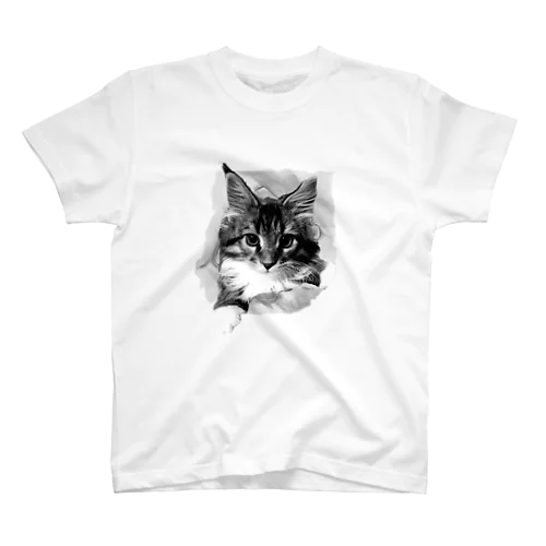 Big 子猫　破いちゃった スタンダードTシャツ