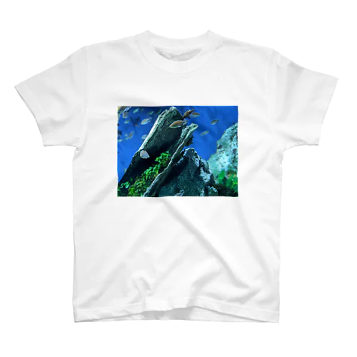 aquarium スタンダードTシャツ