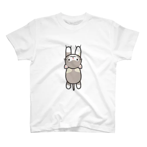 ぷっちちゃん応援 スタンダードTシャツ