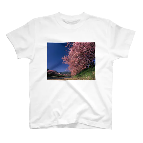 早咲きの桜 スタンダードTシャツ