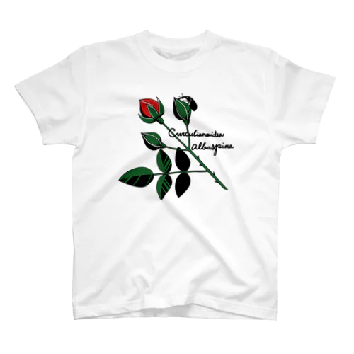 薔薇蕾のゾウムシ スタンダードTシャツ