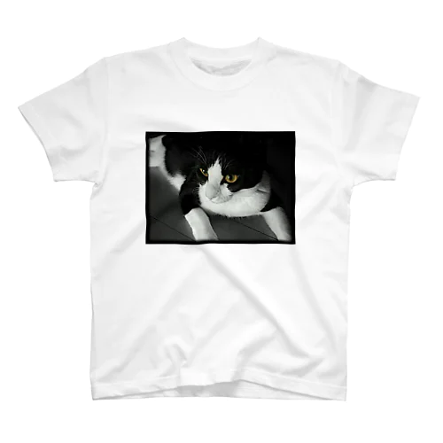 Cat_B Regular Fit T-Shirt