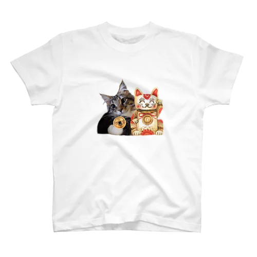 幸運の大きい猫ちゃん スタンダードTシャツ