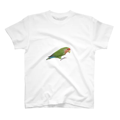 コザクラインコ　はみちゃん スタンダードTシャツ