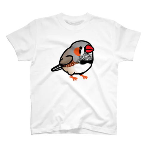 Chubby Bird キンカチョウ Regular Fit T-Shirt