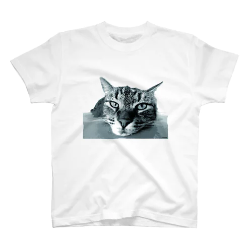 猫０２ Regular Fit T-Shirt