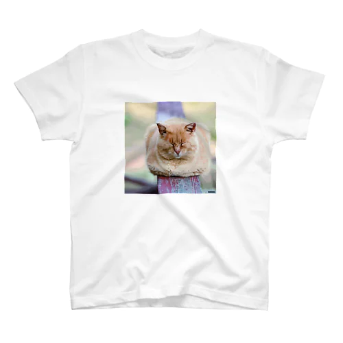 猫０７ スタンダードTシャツ