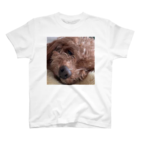 名犬ふりかけ スタンダードTシャツ