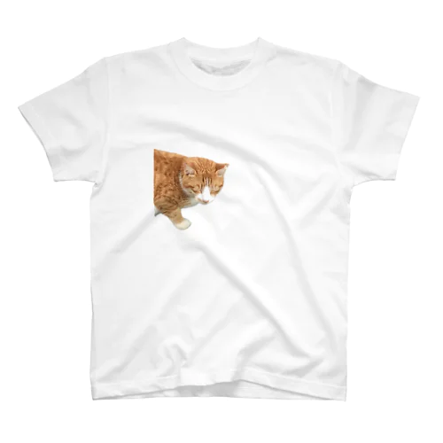 ひょっこり猫 Regular Fit T-Shirt