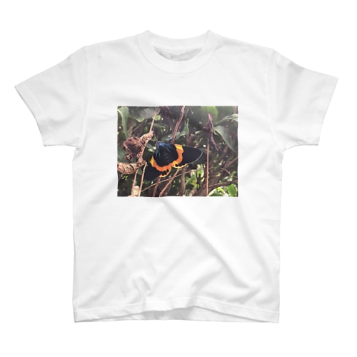 鹿児島の蛾 Regular Fit T-Shirt