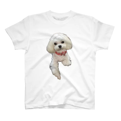 My Maltese Regular Fit T-Shirt