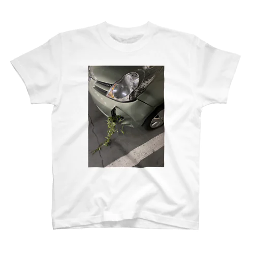 軽自動車　草タイプ スタンダードTシャツ