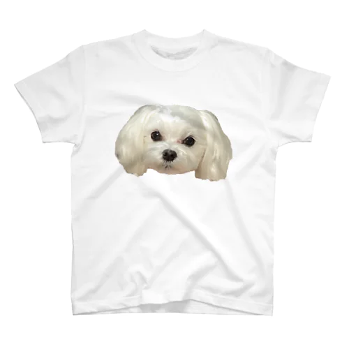 Maltese Face Regular Fit T-Shirt