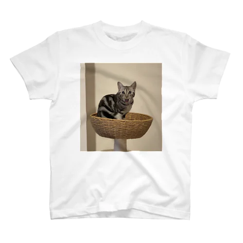 猫アイーン スタンダードTシャツ