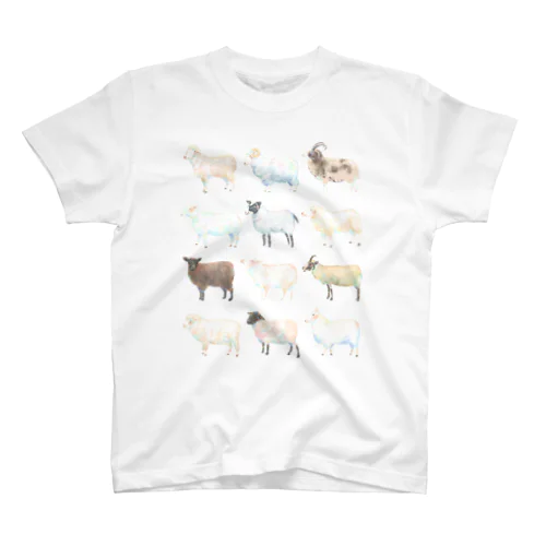 12 SHEEP スタンダードTシャツ