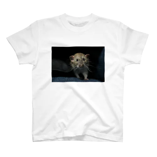 ネズミのトロ助 Regular Fit T-Shirt