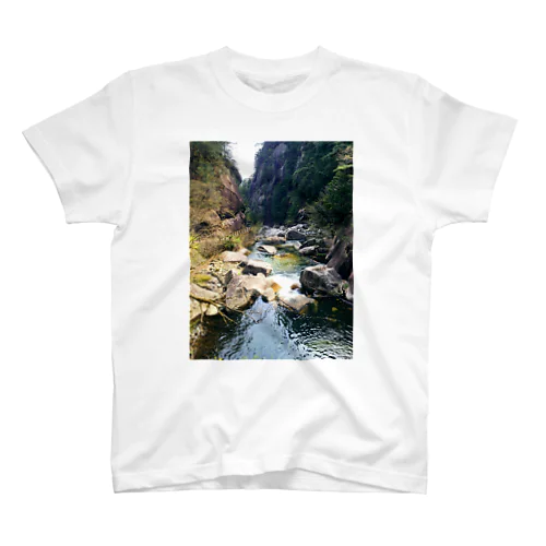 Rivers and waterfalls of nature Regular Fit T-Shirt