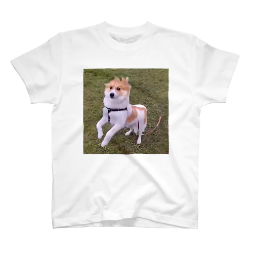 犬 スタンダードTシャツ