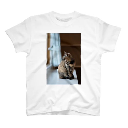 猫 スタンダードTシャツ