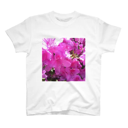 ピンクなお花 スタンダードTシャツ