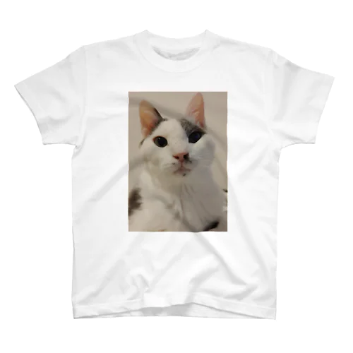 白ハチワレ Regular Fit T-Shirt