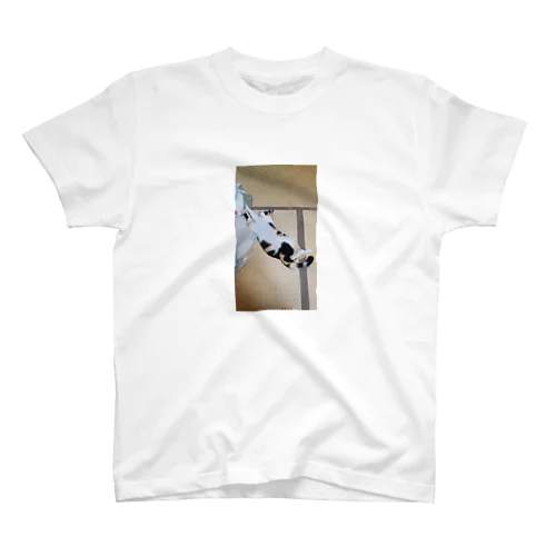 人の家の猫の写メTシャツ Regular Fit T-Shirt