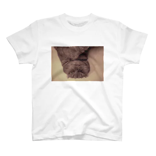 うちの猫ちゃん Regular Fit T-Shirt