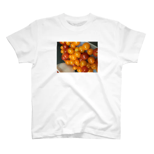 カラフルトマト Regular Fit T-Shirt