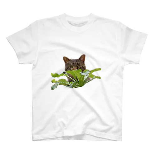 かくれてるねこ Regular Fit T-Shirt