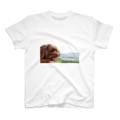 ハリー山に登る Regular Fit T-Shirt