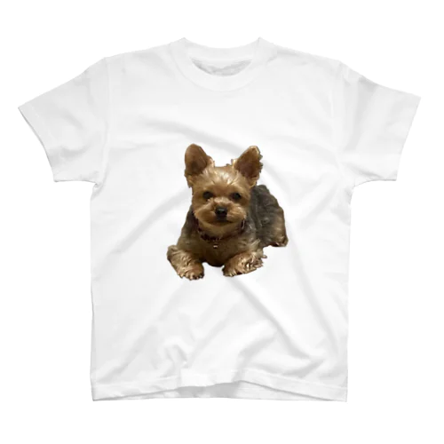 画質悪めな犬 スタンダードTシャツ