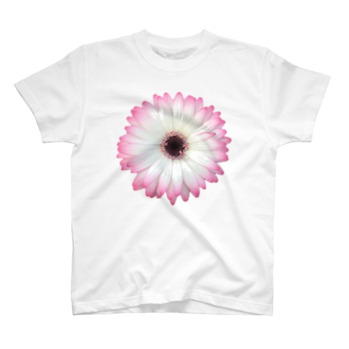 🙇‍♂️❤️【#001】Gerbera Single WHITE＆PING（2022年5月31日）★S2ランク Regular Fit T-Shirt