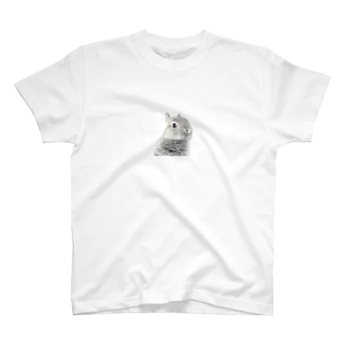 ivy T-shirt Regular Fit T-Shirt