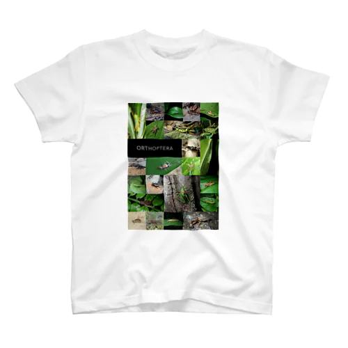 ORTHOPTERA スタンダードTシャツ