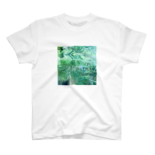 水草とコリドラス スタンダードTシャツ