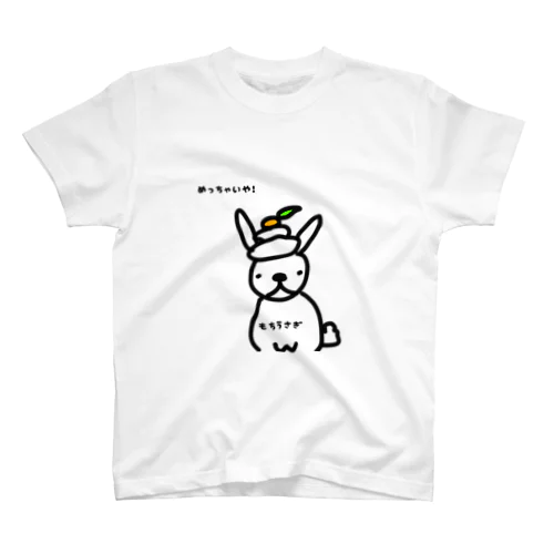 もちうさぎ、飼い主からコスプレさせられました スタンダードTシャツ