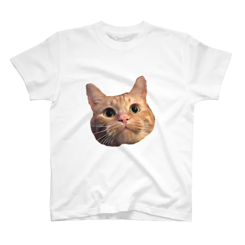 ビビり猫キンちゃん スタンダードTシャツ