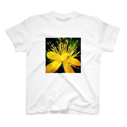 黄色いお花のズーム スタンダードTシャツ