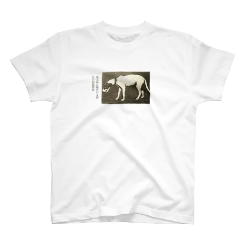 狂犬病 Regular Fit T-Shirt