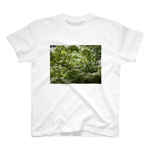 Leaf Regular Fit T-Shirt
