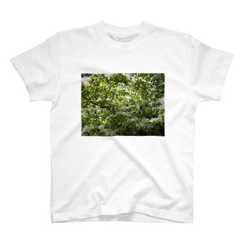 Leaf スタンダードTシャツ