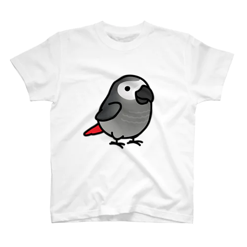 Chubby Bird ヨウム Regular Fit T-Shirt