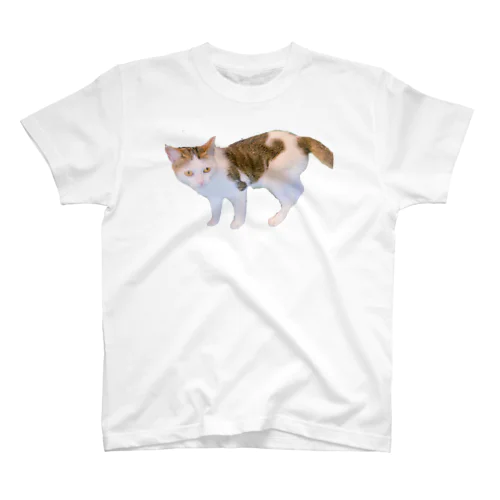 cat Regular Fit T-Shirt